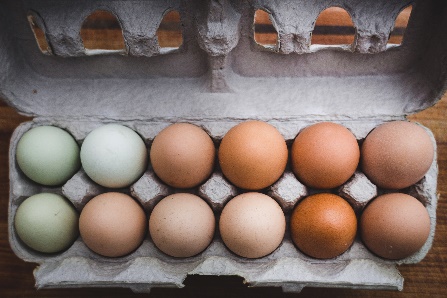 The real cost of small-scale egg production - Nature's Apprentice Farm